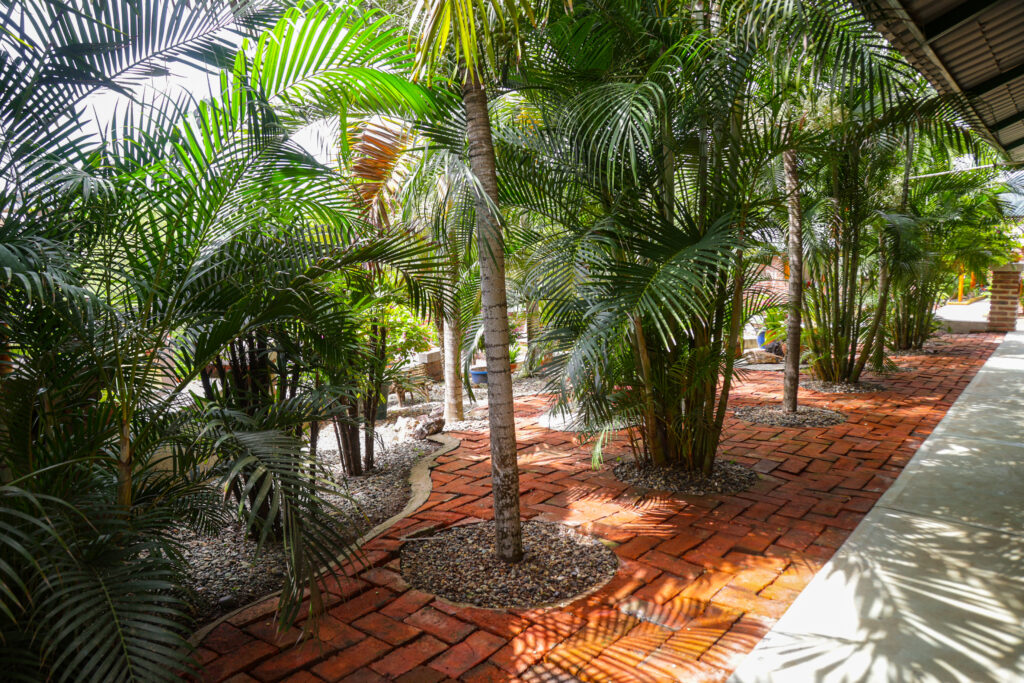 The Main Villa lower private patio