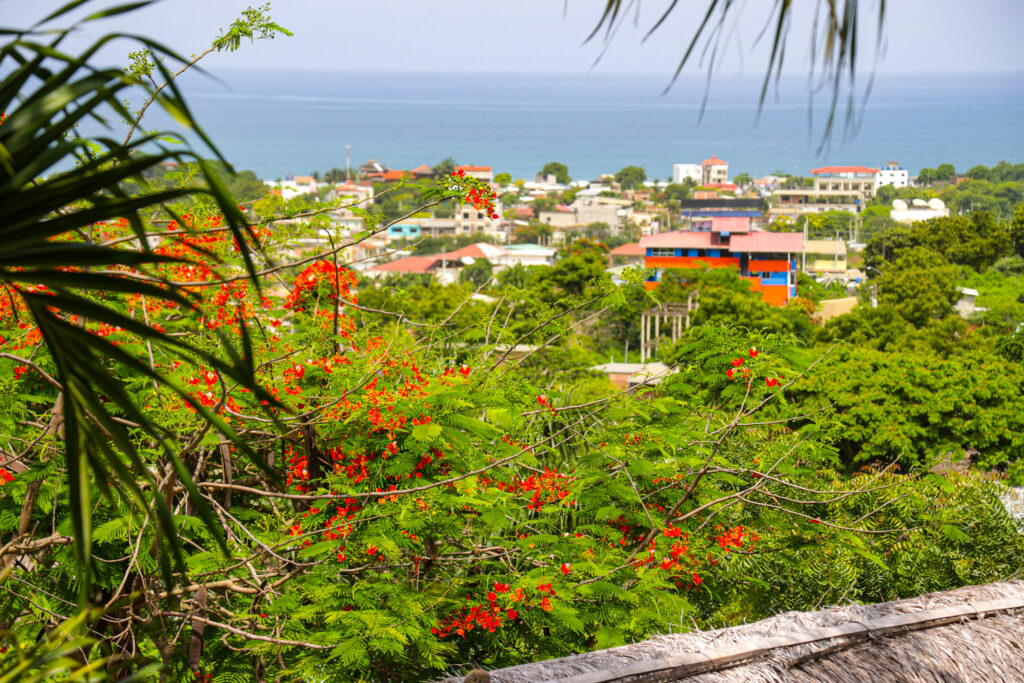 View from the Main Villa upper suite